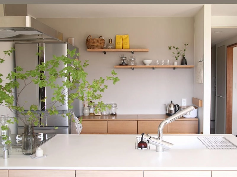 Cây phong thủy nhà bếp mang lại năng lượng tốt